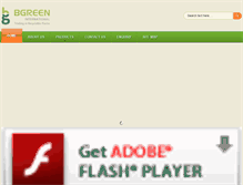 Tablet Screenshot of bgreenintl.com